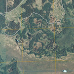 Mulligan Lake NW, MN (2010, 24000-Scale) Preview 2