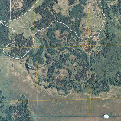 Mulligan Lake NW, MN (2010, 24000-Scale) Preview 2
