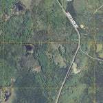 Nett Lake, MN (2010, 24000-Scale) Preview 3