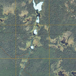 Nett Lake NW, MN (2010, 24000-Scale) Preview 3