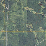 Nett Lake SW, MN (2010, 24000-Scale) Preview 2
