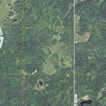 Nickerson, MN (2010, 24000-Scale) Preview 3