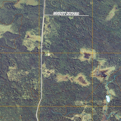 Orr SW, MN (2010, 24000-Scale) Preview 3