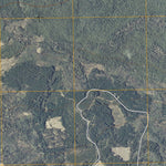 Pine Island Lookout Tower, MN (2010, 24000-Scale) Preview 3