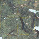 Pine Lake West, MN (2011, 24000-Scale) Preview 3