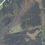 Pitt, MN (2010, 24000-Scale) Preview 3