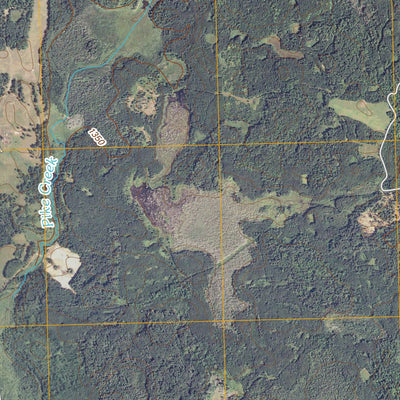 Puposky Lake, MN (2010, 24000-Scale) Preview 3