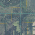 Salol NW, MN (2010, 24000-Scale) Preview 3