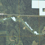 Saum NE, MN (2010, 24000-Scale) Preview 2