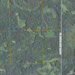 Saum NE, MN (2010, 24000-Scale) Preview 3