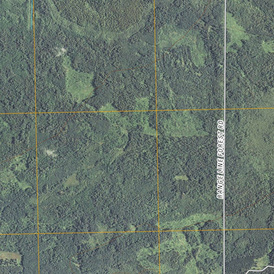 Saum NE, MN (2010, 24000-Scale) Preview 3