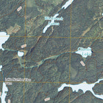 Snowbank Lake, MN (2011, 24000-Scale) Preview 2