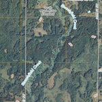 Springvale, MN (2010, 24000-Scale) Preview 3