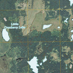 Stewart Lake, MN (2010, 24000-Scale) Preview 2