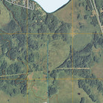 Tamarack, MN (2010, 24000-Scale) Preview 2