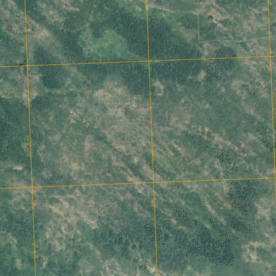 Thief Lake NW, MN (2010, 24000-Scale) Preview 3