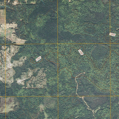 Thor SW, MN (2010, 24000-Scale) Preview 3