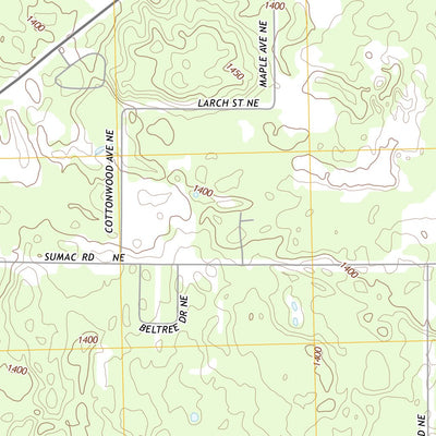 Turtle River, MN (2013, 24000-Scale) Preview 2