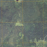 Wildwood SE, MN (2011, 24000-Scale) Preview 2