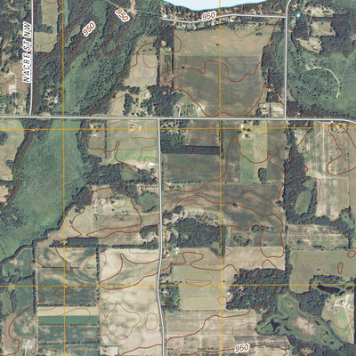 Wyanett, MN (2010, 24000-Scale) Preview 2
