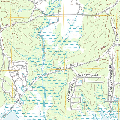 Gore Springs, MS (2012, 24000-Scale) Preview 3