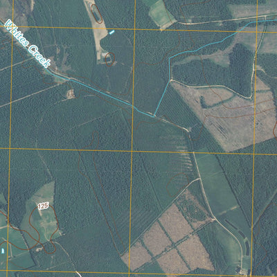 Abbottsburg, NC (2010, 24000-Scale) Preview 2