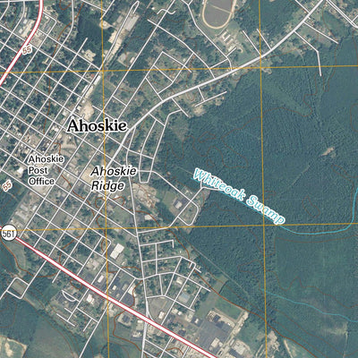 Ahoskie, NC (2010, 24000-Scale) Preview 3