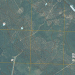 Atkinson, NC (2010, 24000-Scale) Preview 3