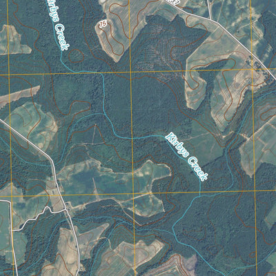Conway, NC (2010, 24000-Scale) Preview 3
