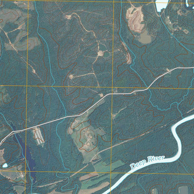 Goldston, NC (2010, 24000-Scale) Preview 2