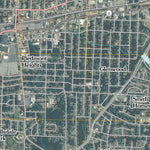 Greensboro, NC (2010, 24000-Scale) Preview 2