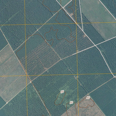 Jacksonville NW, NC (2010, 24000-Scale) Preview 3