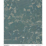 Lewis Swamp, NC (2010, 24000-Scale) Preview 1