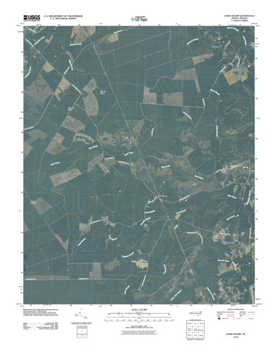 Lewis Swamp, NC (2010, 24000-Scale) Preview 1