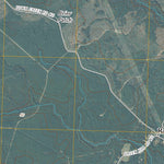 Lewis Swamp, NC (2010, 24000-Scale) Preview 2