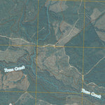 Lewis Swamp, NC (2010, 24000-Scale) Preview 3