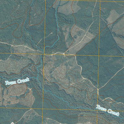 Lewis Swamp, NC (2010, 24000-Scale) Preview 3