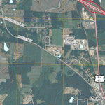 Liberty, NC (2010, 24000-Scale) Preview 2
