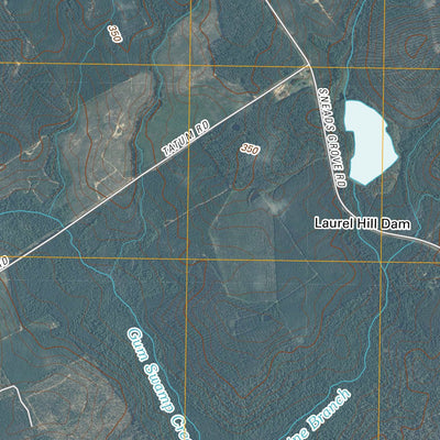 Marston, NC (2010, 24000-Scale) Preview 2