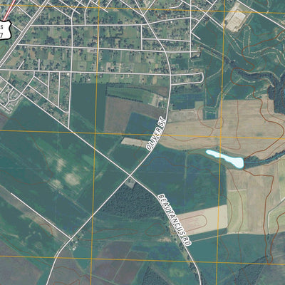 Mount Olive, NC (2010, 24000-Scale) Preview 2