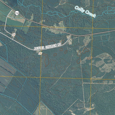 Point Caswell, NC (2010, 24000-Scale) Preview 2