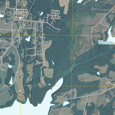 Reidsville, NC (2010, 24000-Scale) Preview 2