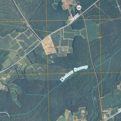 Rich Square, NC (2010, 24000-Scale) Preview 2