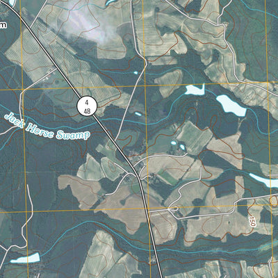 Ringwood, NC (2010, 24000-Scale) Preview 2