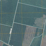 Roper South, NC (2010, 24000-Scale) Preview 3