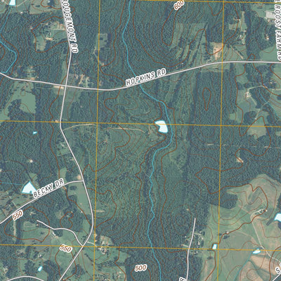 Rougemont, NC (2010, 24000-Scale) Preview 2