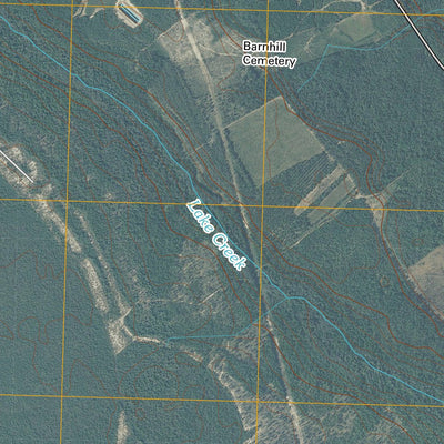 Rowan, NC (2010, 24000-Scale) Preview 3