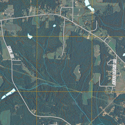 Rowan Mills, NC (2010, 24000-Scale) Preview 2