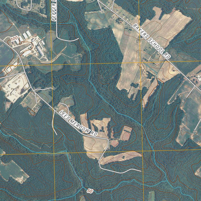 Scotland Neck, NC (2010, 24000-Scale) Preview 3