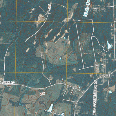 Snow Camp, NC (2010, 24000-Scale) Preview 2